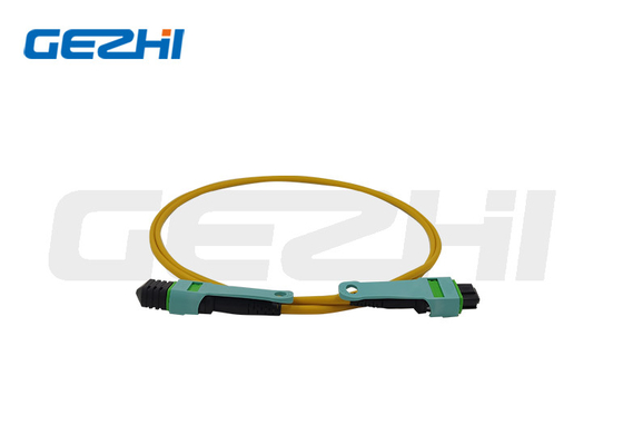 24-Core OS2 Fiber Patch Cord طول های سفارشی برای FTTX / CATV